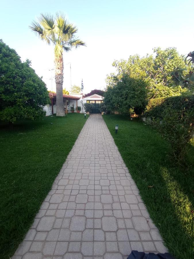 Galini Apartment Near Sea, Port And Airport Artemida  Dış mekan fotoğraf